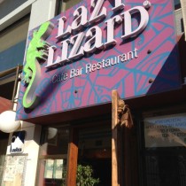 Lazy Lizard 1